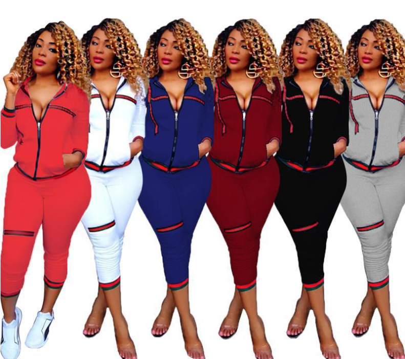 Autumn Women's Sportswear 2pcs Women's Hooded Long Sleeve Zip Crop Tops Long Pants Trousers Loose Casual Clothes Set - FITzzE