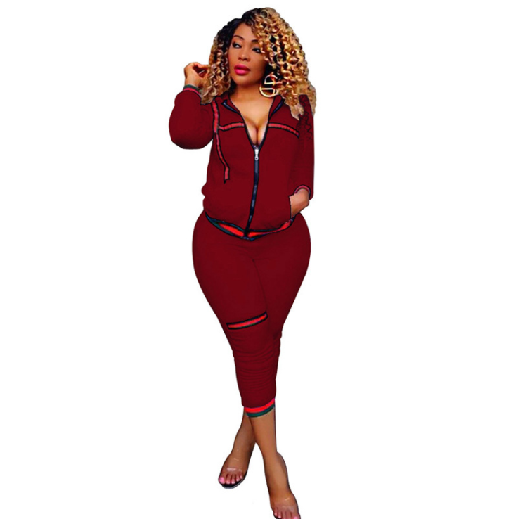 Autumn Women's Sportswear 2pcs Women's Hooded Long Sleeve Zip Crop Tops Long Pants Trousers Loose Casual Clothes Set - FITzzE