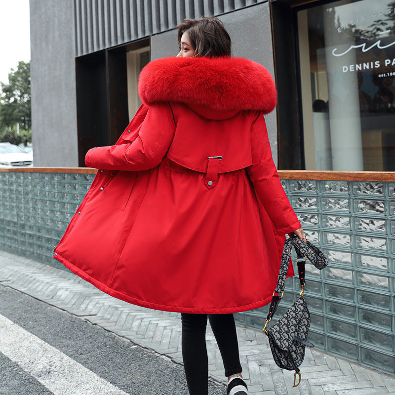 Korean version of long and medium length big fur collar with fleece jacket cotton jacket for women's fashion - FITzzE